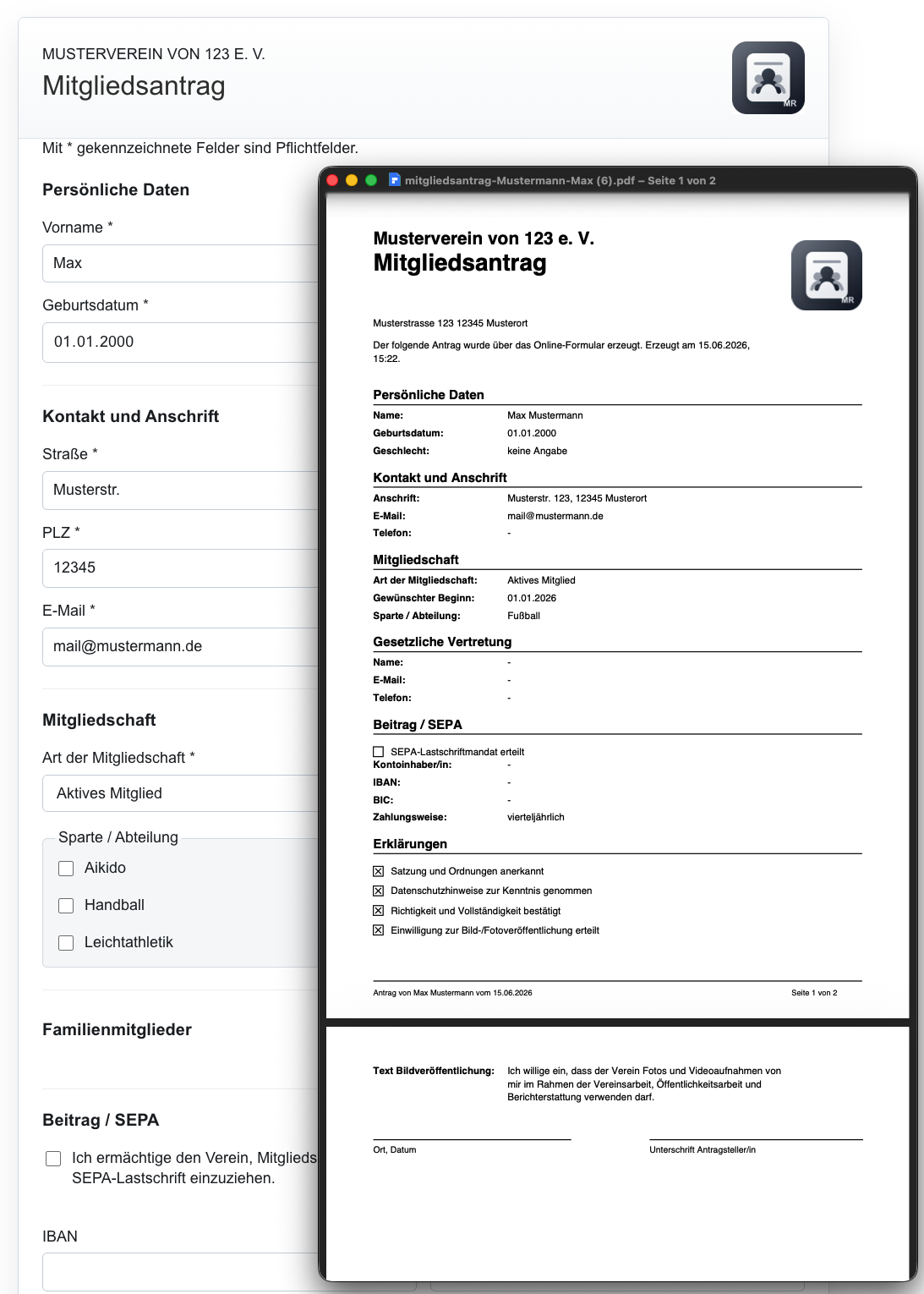 muster-eingabe-pdf-screenshot
